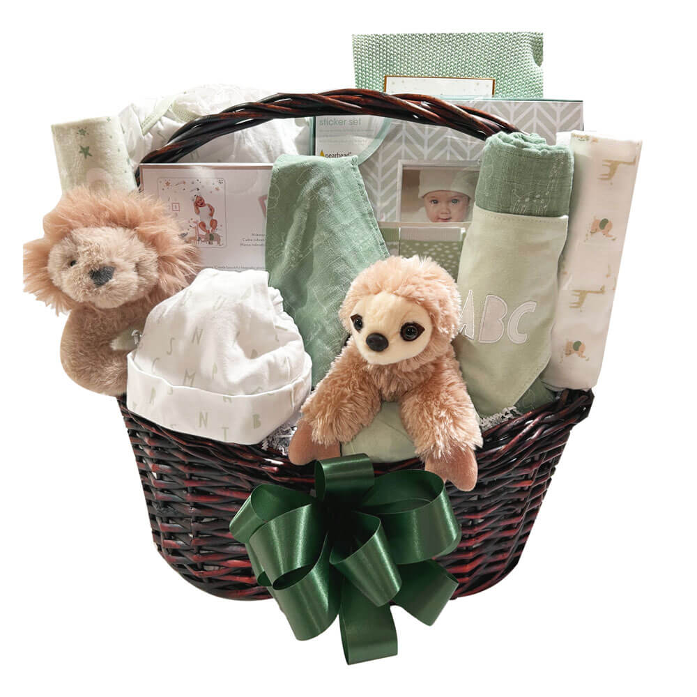 Baby Gift Basket Bundle