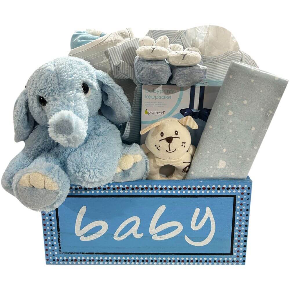 Baby Boy Collection Gift Basket