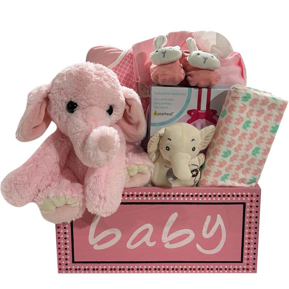 Baby Girl Collection Gift Basket
