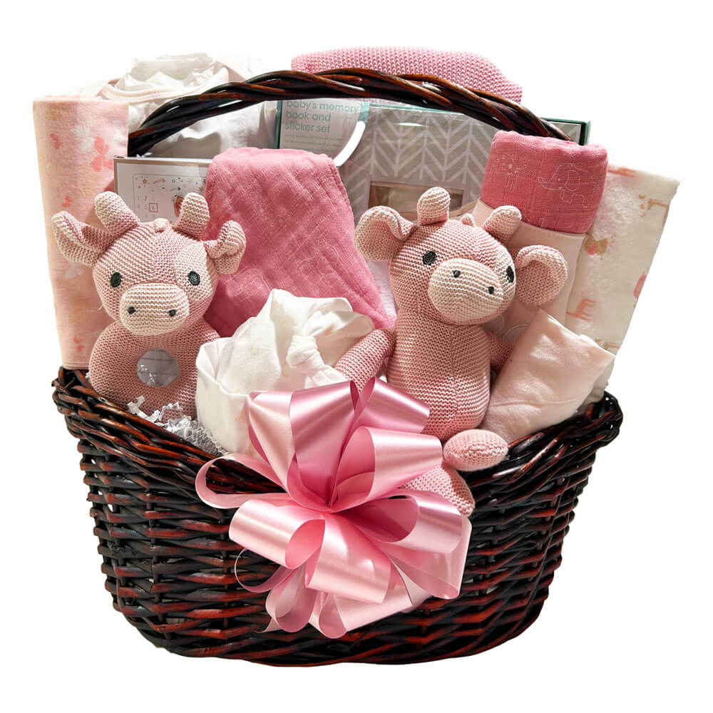 Baby Girl Gift Basket Bundle