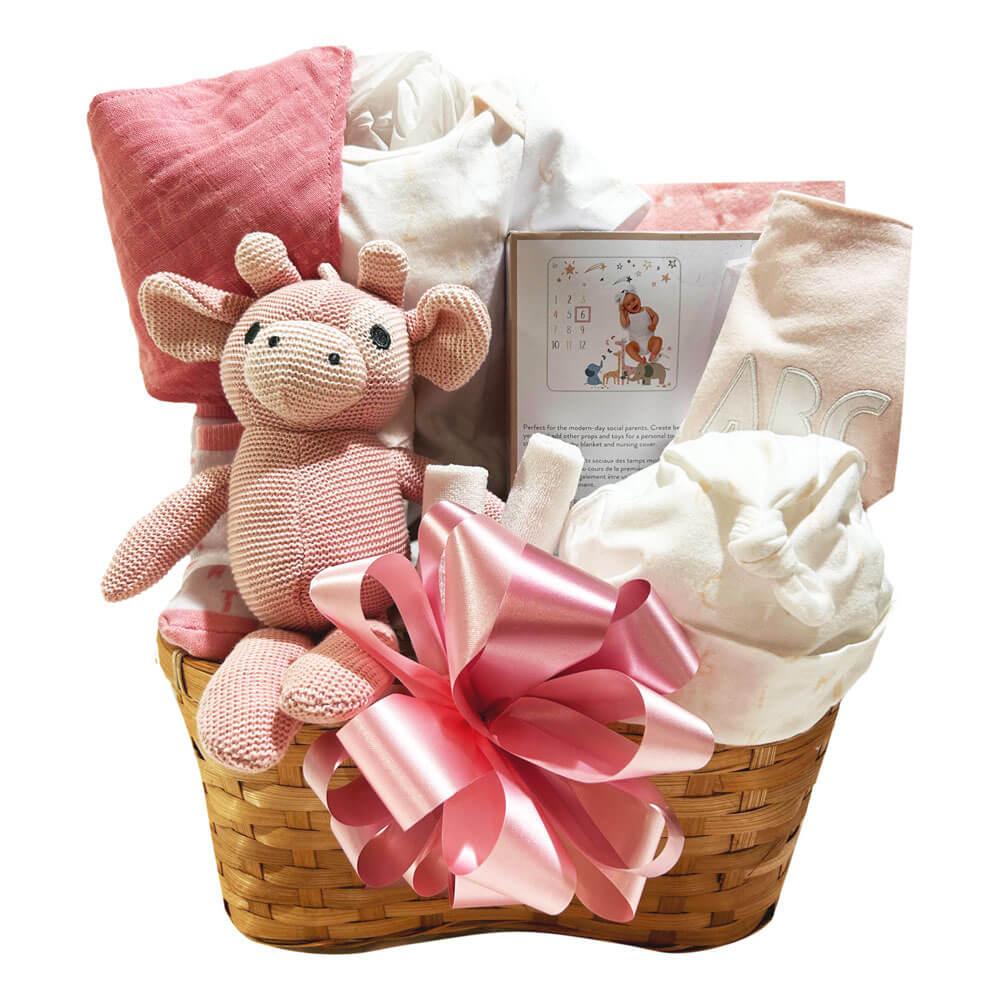 Newborn Baby Girl Gift Basket Just Baskets - Main Image