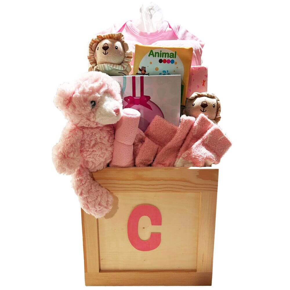 Toy Box Gift Basket Girl