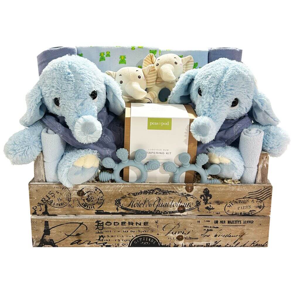 Two Times The Fun-Boys Baby Gift Basket