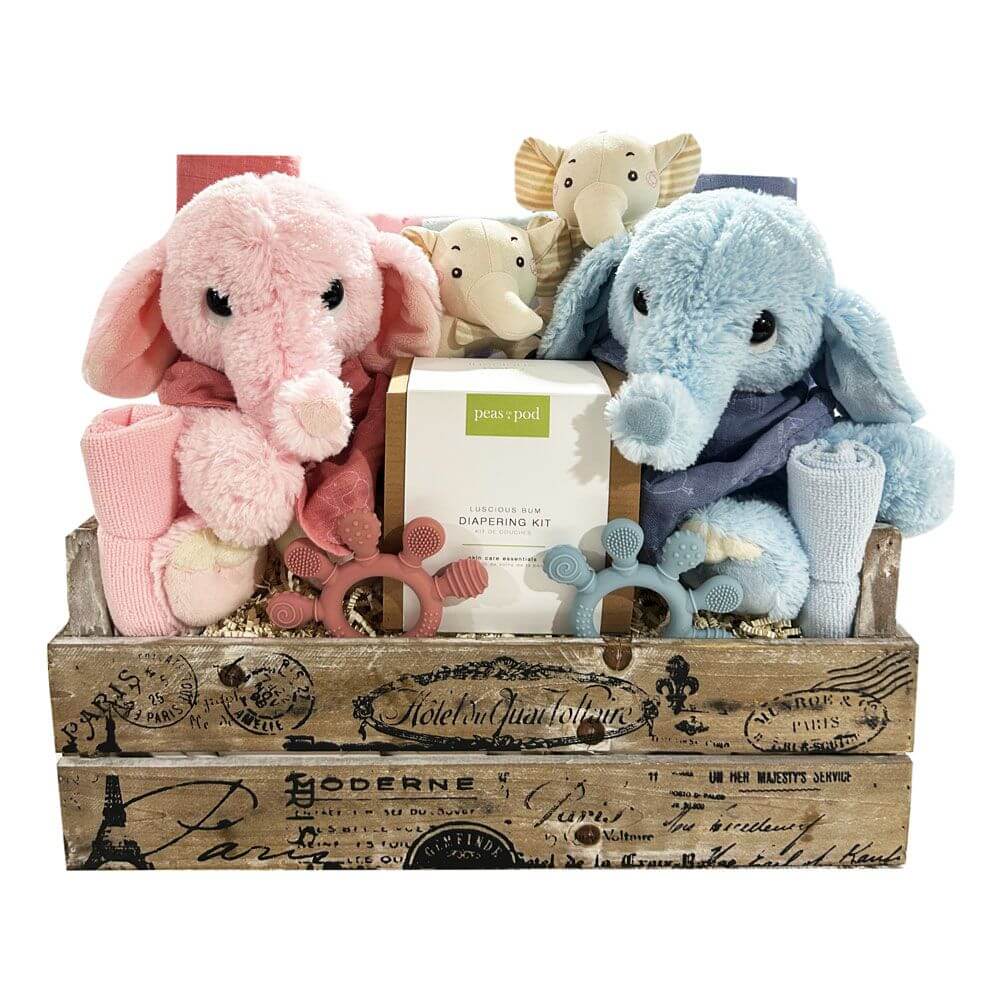Two Times The Fun-Boy-Girl gift basket
