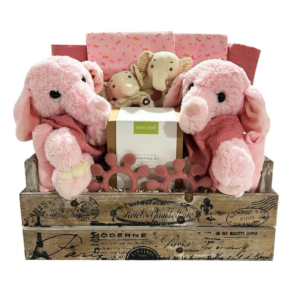 Two Times The Fun-Girls Baby Gift Basket
