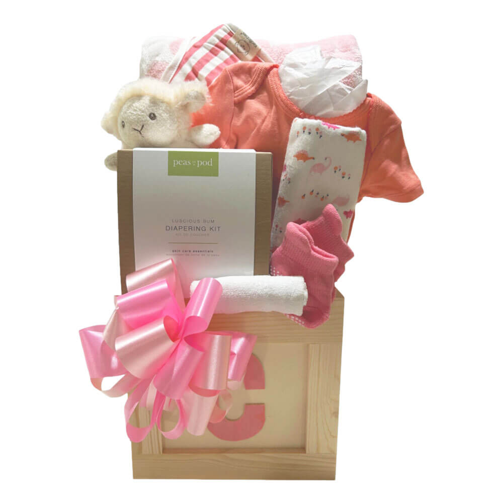 Hello Baby Girl Gift Basket