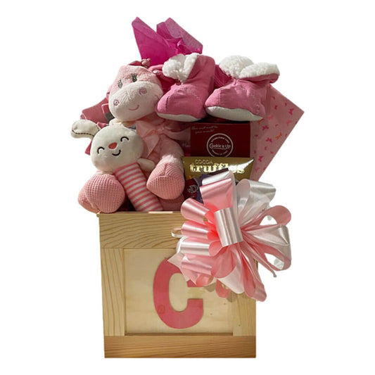 Welcome Baby Girl with this New Baby Gift - Just Baskets