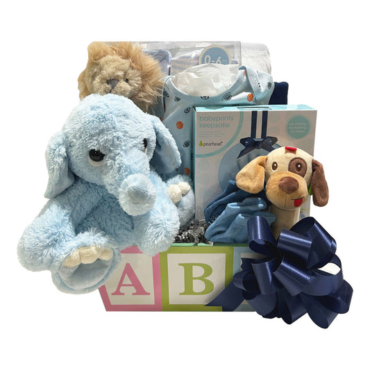 Toy Box Gift Basket Boy