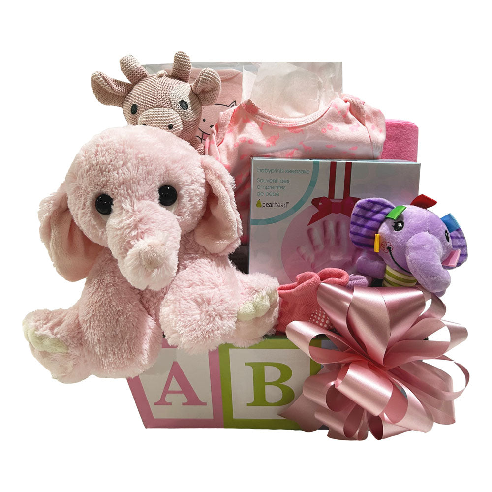 Toy Box Gift Basket Girl