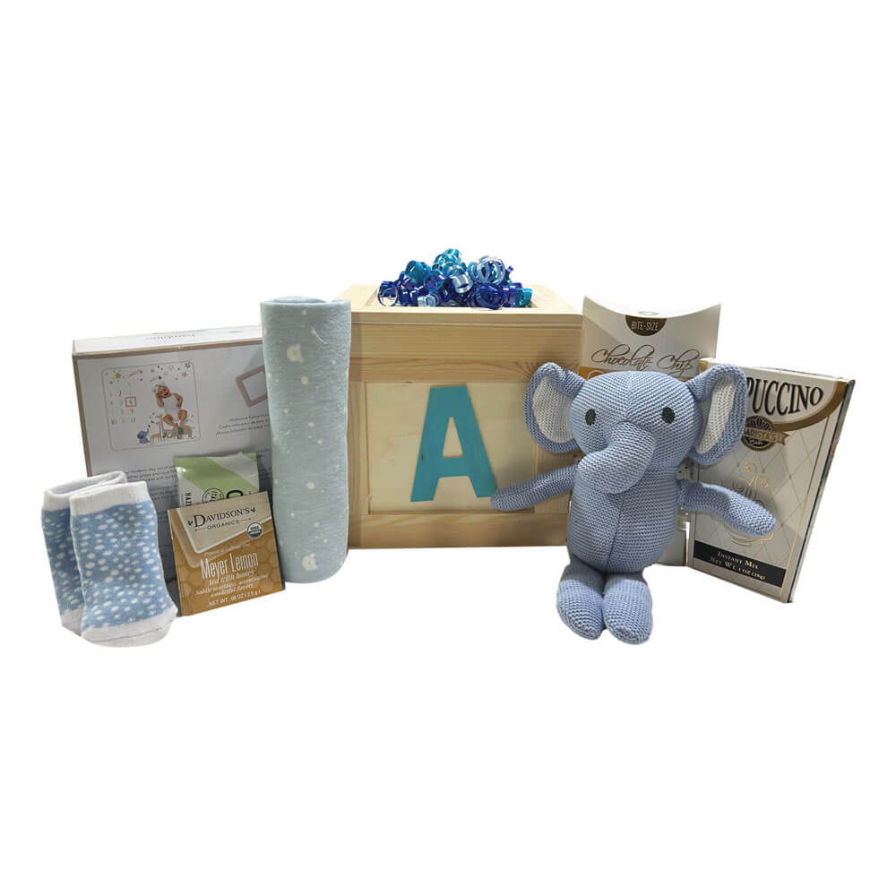 Baby Boy Things Gift Basket