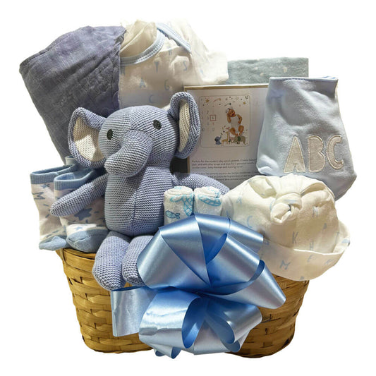 Newborn Baby Boy Gift Basket