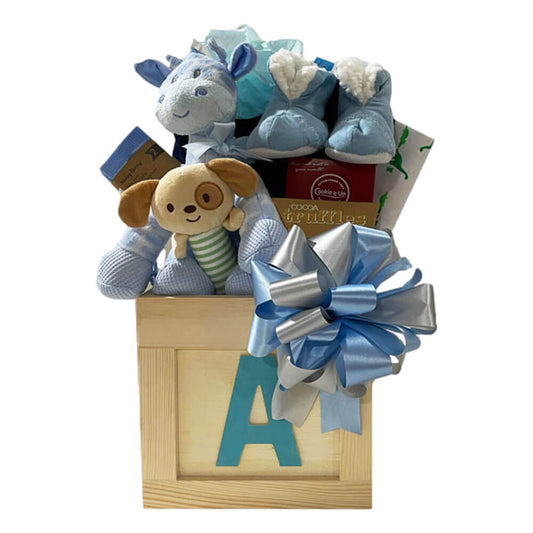 Welcome Baby Boy with the Perfect Gift Set - Just Baskets