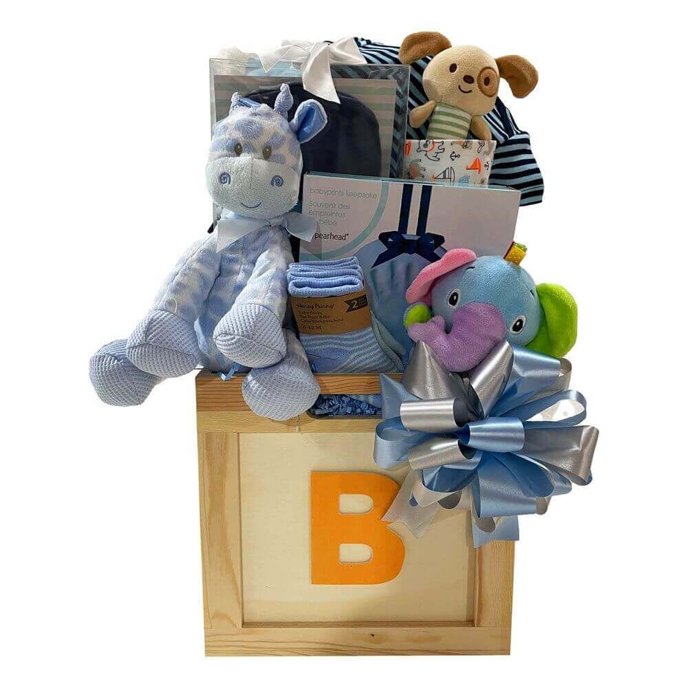 Toy Box Gift Basket Boy - For new mom and baby boy to cuddle!
