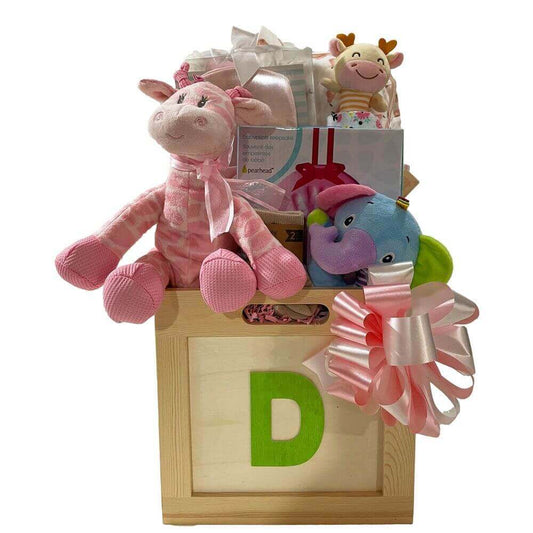 Toy Box Gift Basket Girl - For new mom and baby girl to cuddle!