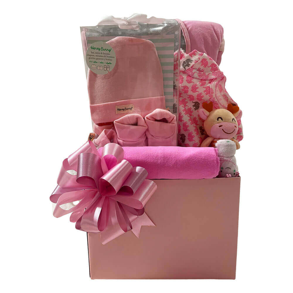All For Baby Girl Gift basket - Send all your love to this new girl