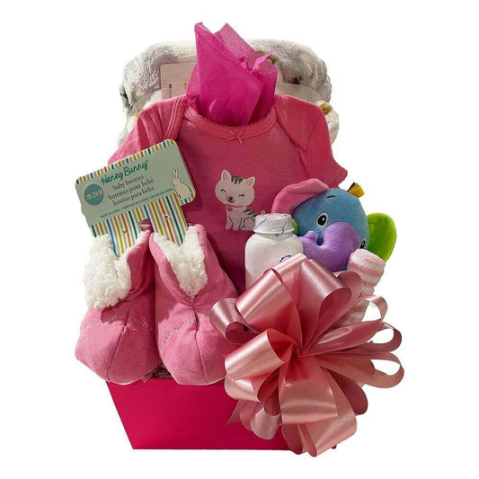 It's A Girl Gift basket - Welcome this new little girl!