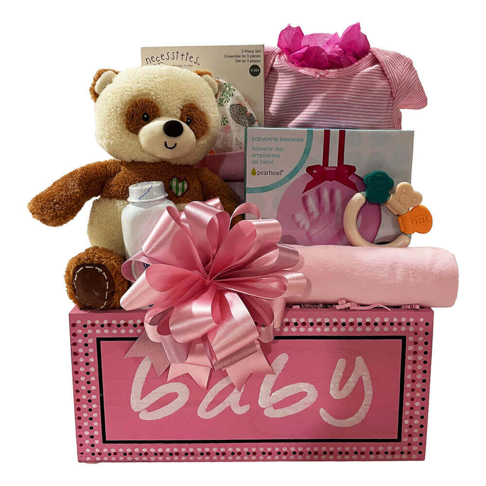 Precious Girl Gift basket - Welcome to this world Little Girl!