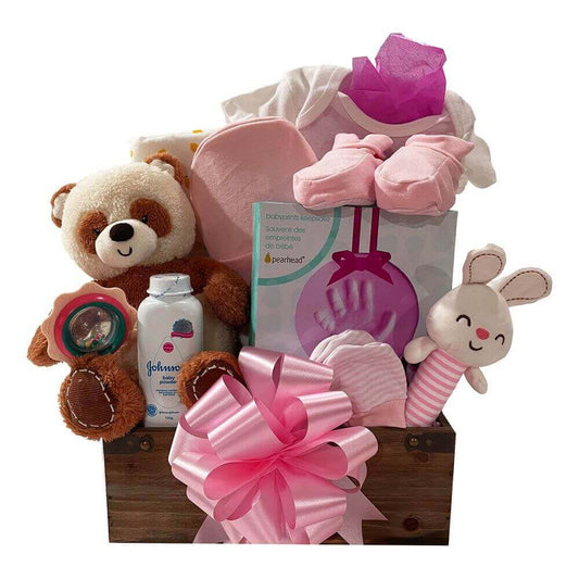 Time For Baby Girl Gift Basket - Baby and New Mom Starter Kit!