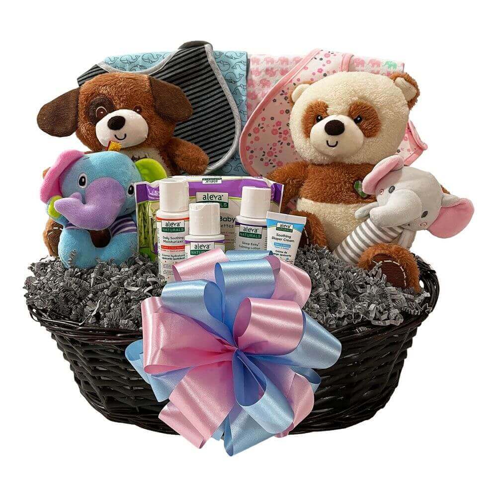 Two Times The Fun-Boy-Girl gift basket - Perfect for twin Boy & Girl!
