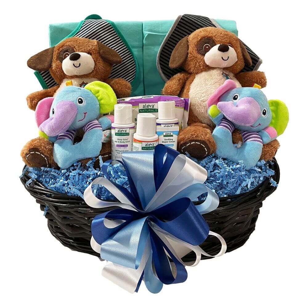 Two Times The Fun-Boys Baby Gift Basket - Perfect for twin boys!