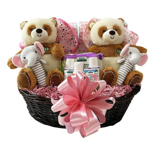 Two Times The Fun-Girls Baby Gift Basket - Perfect for twin girls!